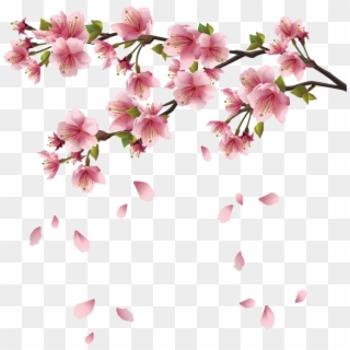 Beautiful Pink Spring Branch With Falling Petals Png Transparent Png