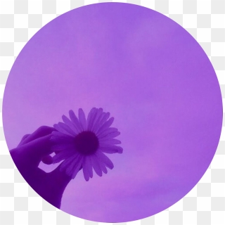 Aesthetic Nichememes Tumblr Flowers Yellow Aesthetic Flower Png