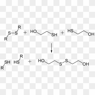 Disulfide Bond Cleavage By 2 Mercaptoethanol 2d Skeletal 2