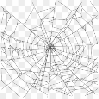 Drawn Spider Web Illustration Png Spider Man Web Drawing Transparent