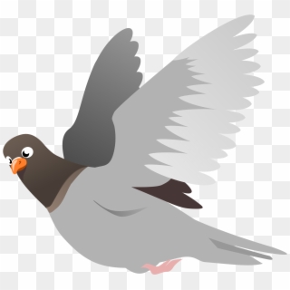 White Pigeon Transparent Png Picture - White Pigeon Bird Png, Png ...