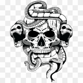 1024 X 1332 18 - Skull And Snake Png, Transparent Png - 1024x1332 (#940 ...