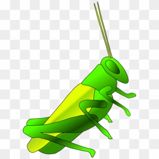 Cricket Club Logo Png, Transparent Png - 4632x4541 (#826315) - PinPng