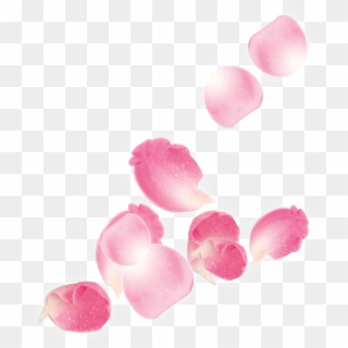 #ftestickers #flowers #petals #falling #pink - Petal, HD Png Download ...