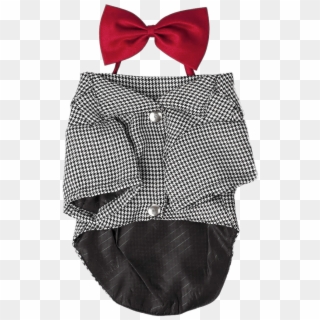 Dog Costume With Bow Tie - Tights, HD Png Download Dog Costume With Bow Tie - Tights, HD Png Download