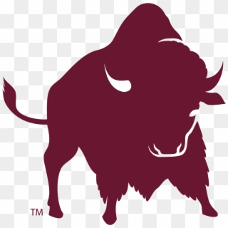 Buffalo Logo - Wtamu Buffs, HD Png Download - 1152x1152 (#1260079) - PinPng