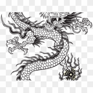 Chinese Dragon Png Transparent Images - Dragon Tattoo Designs, Png 