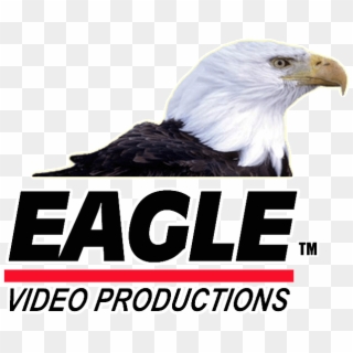 Eagle Video Productions Inc - Animais Ameaçados De Extinção, HD Png Download