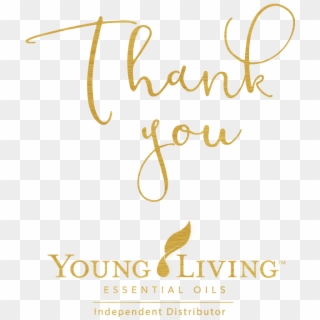 Free download, HD PNG yl symbol black young life logo transparent PNG  image with transparent background