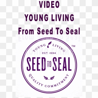 Young Living - White Young Living Logo Transparent PNG - 648x252