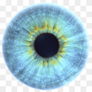 Iris Eye Color Blue - Blue Colour Eyes Png, Transparent Png - 800x600 ...