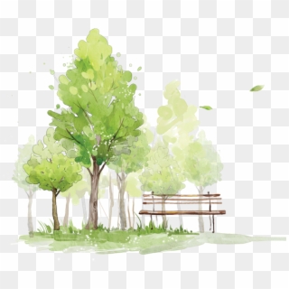 Sketch To Paint Trees Watercolor How In Clipart - Transparent Watercolor Trees, HD Png Download