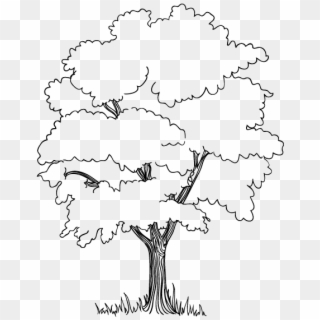 The Trees In The Jungle Coloring Pages Embroidery Stuff - Jungle Tree ...