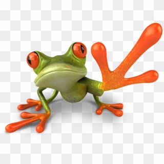 Frog Doing High Five, Hd Png Download - 748x551 (#1440761) - Pinpng