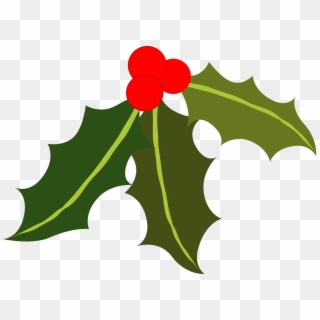 Christmas holly png illustration, transparent