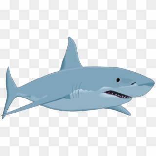 Free Shark Clipart Shark Clipart Shark Fish Clipart - Great White Shark Clipart, HD Png Download