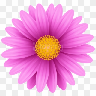 Free Png Download Pink Flower Png Png Images Background - Allen Tate ...