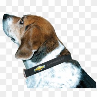 Chevy Bowtie Dog Collar - Chevy Bow Tie Dog Collar, HD Png Download Chevy Bowtie Dog Collar - Chevy Bow Tie Dog Collar, HD Png Download
