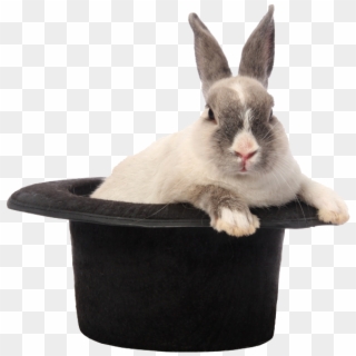 Rabbit Hat Png Image - Stock Photography, Transparent Png - 950x633 ...