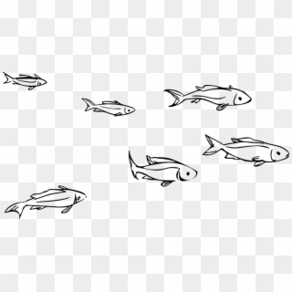 School Of Fish Clip Art Stock - School Of Fish Clipart Black And White, HD Png Download