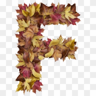 Letter R From Dry Leaves - Leaf Letters Transparent, HD Png Download ...