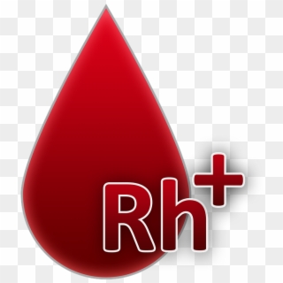 Blood Group,rh Factor Positive,blood,a Drop Of Blood,blood - Grupo Sanguineo Ab Positivo, HD Png Download