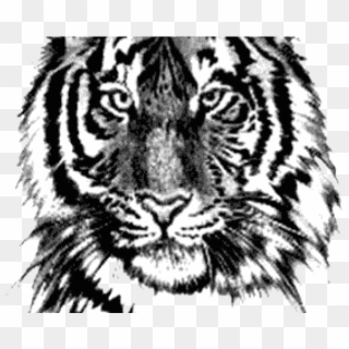 108+ Free Download Tattoo Tiger Png HD Tattoo