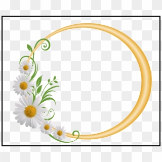 Baby's Breath Flower Baby Breath Flower Png Unbelievable - Floral Circle Frame Png, Transparent Png