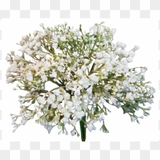 Flowers And Things Png Png Cartoon Baby Breath Bouquet - Flowers Png Baby's Breath, Transparent Png