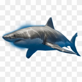 Shark Mouth Free Vector Clipart , Png Download - Bape Shark Png,  Transparent Png - 2287x891 PNG 