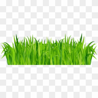 View Full Size - Grass Clipart No Background, HD Png Download ...