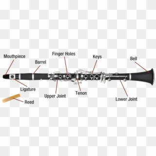 Clarinet Png - Clarinet Diagram, Transparent Png - 1000x380 (#1903662 ...