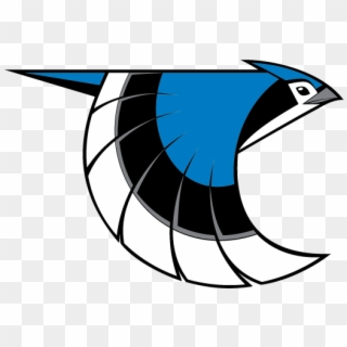 Toronto Blue Jays Logo Png Png Download Transparent Png 1041x452 Pinpng