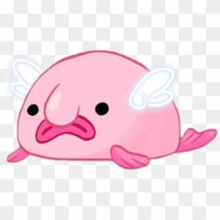 Blobfish Animal FlowVella Snout PNG, Clipart, Animal, Blobfish, Cheek,  Closeup, Face Free PNG Download