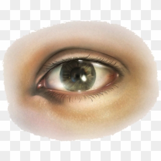 Brown Eyes Clipart Transparent Background - Draw Glassy Eyes Digital, HD Png Download