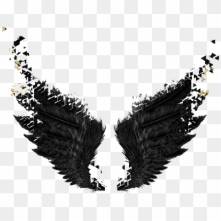 Black angel//fairy wings