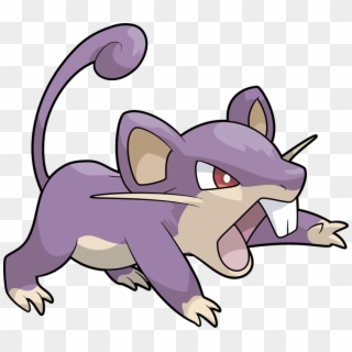 Rattata Evolution, HD Png Download - 800x707 (#2060182) - PinPng