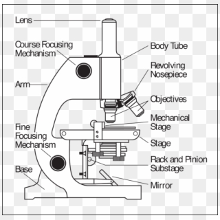 Education Microscope - Magnus Trinocular Microscope Model Mlx Tr Plus ...
