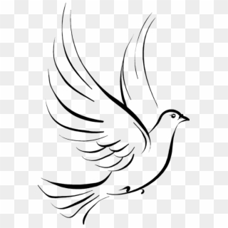 Tattoo Stencil Pigeon Pen Jane Drawing Clipart - Png White Dove Drawing, Transparent Png