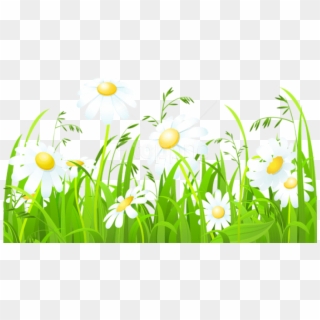 Free Png Download Grass With White Flowers Png Images - Clipart Grass 