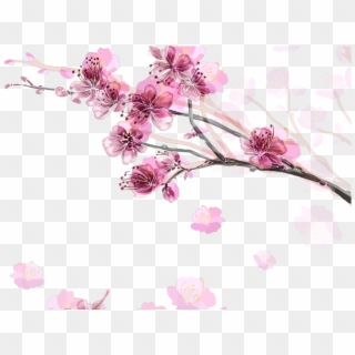 Drawn Sakura Blossom Border - Cherry Blossom Cute Png, Transparent Png ...