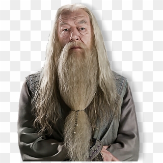 Dobby X Dumbledore - Albus Dumbledore Png, Transparent Png - 845x692 ...