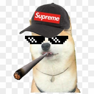 Supreme Hats ❤ ✓ - Supreme Set Transparent PNG - 600x860 - Free