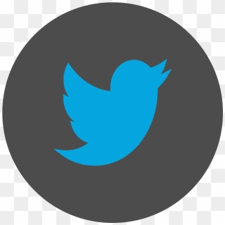 Twitter Icon White Png Twitter Circle Icon Png White Transparent Png 1999x00 Pinpng