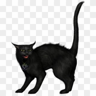 Black Cat Icon, Transparent Black Cat.PNG Images & Vector - FreeIconsPNG