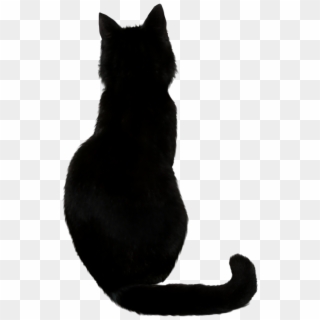 Black Cat - Back Of A Black Cat, HD Png Download - 771x1228 (#257686 ...