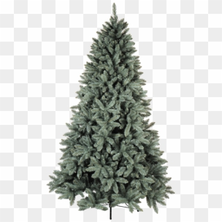 Blue Christmas Tree Png - White Frost Christmas Tree, Transparent Png