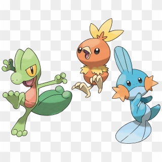 Pokébola Pokémon Mudkip de Água, água, logotipo, pokemon, água ciclo png