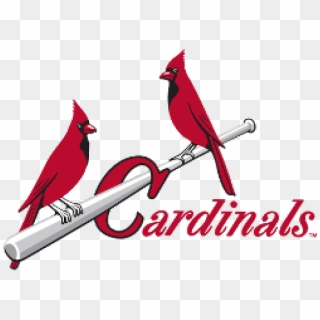 Logos And Uniforms Of The St Louis Cardinals PNG and Logos And Uniforms Of  The St Louis Cardinals Transparent Clipart Free Download. - CleanPNG /  KissPNG