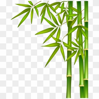 Free Png Download Bamboo Png Images Background Png - Single Bamboo Tree ...